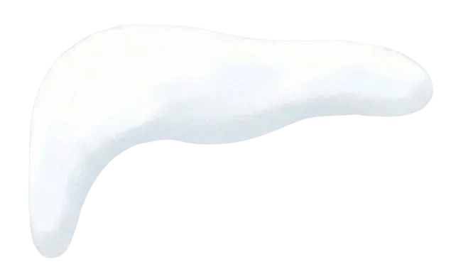 Christmas decoration